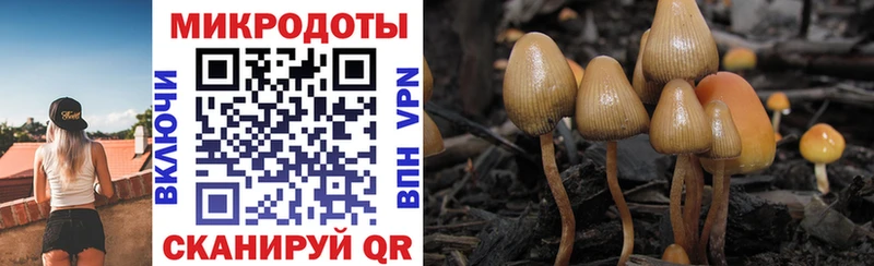 Галлюциногенные грибы MAGIC MUSHROOMS Купить закладки Волгореченск